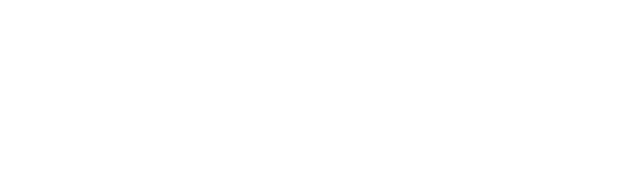Logo Wien Netz